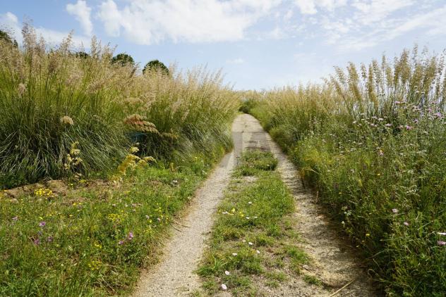 terreno agricolo in vendita ad Enna in zona Pergusa