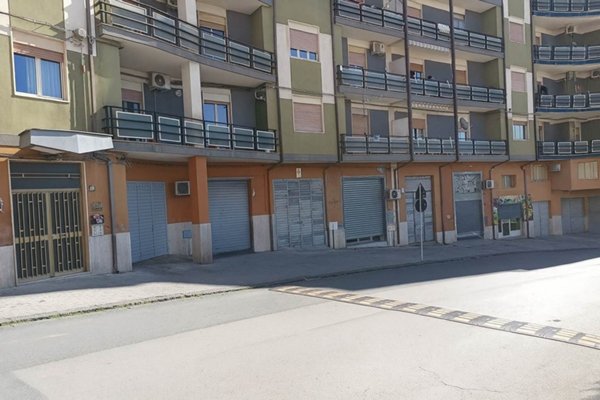 immagine annuncio 0 di 15