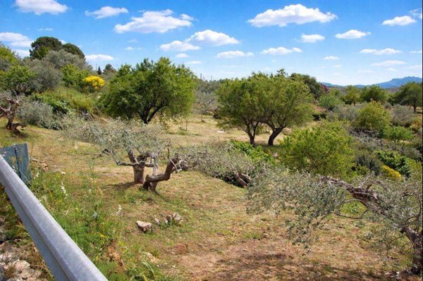 terreno agricolo in vendita a Leonforte