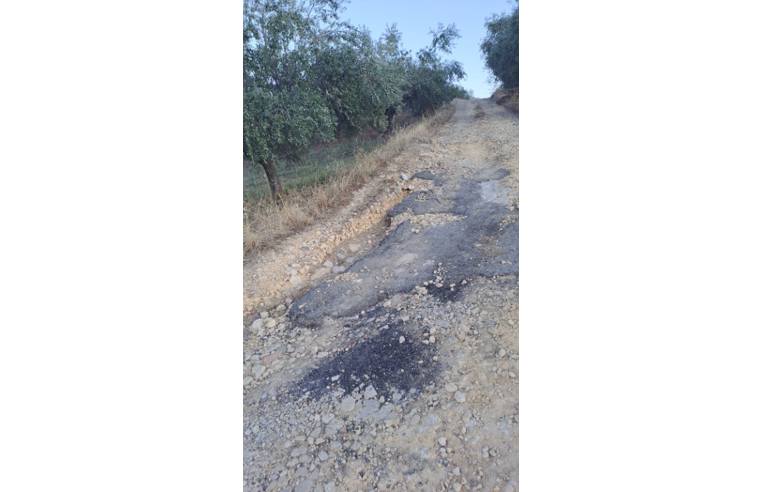 terreno agricolo in vendita a Leonforte