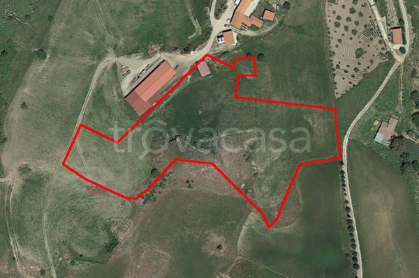 terreno agricolo in vendita a Nicosia