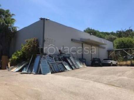 appartamento in vendita a Nicosia