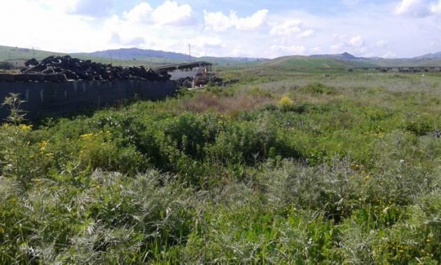 terreno agricolo in vendita a Nicosia