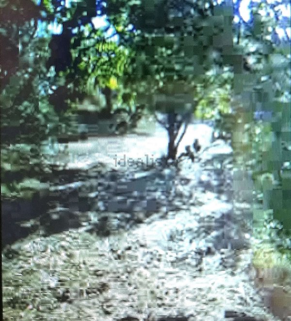 terreno agricolo in vendita a Nicosia