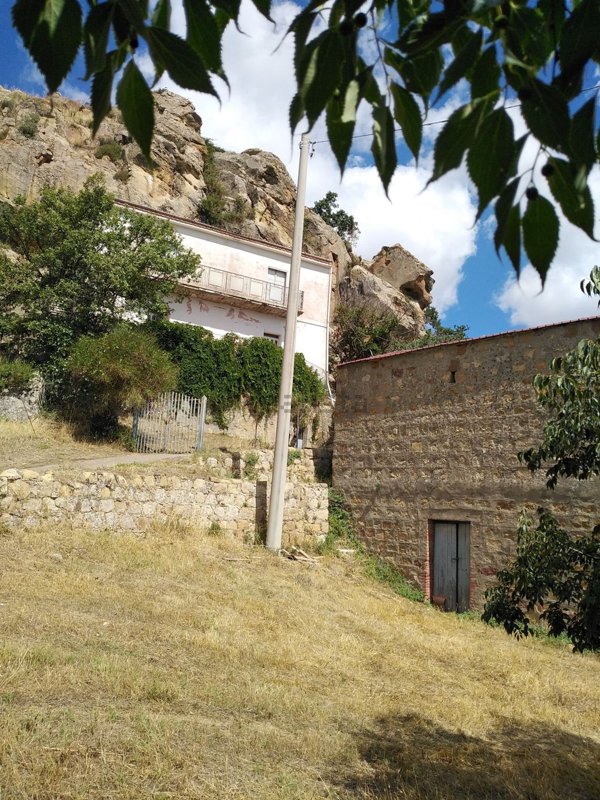 esavano in vendita a Nicosia