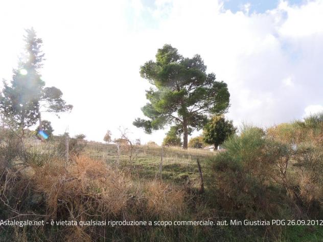 terreno agricolo in vendita a Nicosia