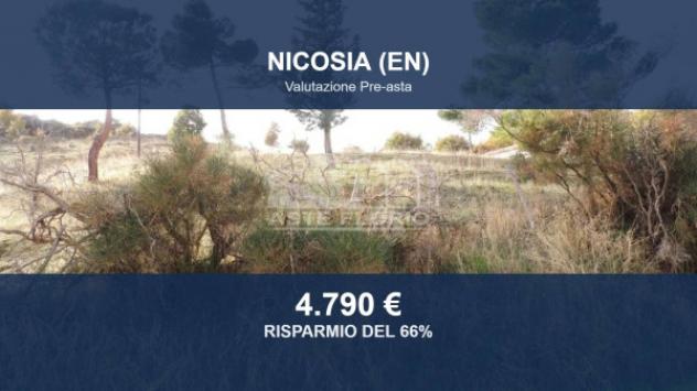 terreno agricolo in vendita a Nicosia