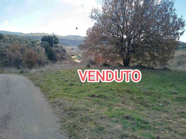 terreno agricolo in vendita a Nissoria