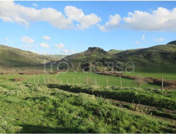 terreno agricolo in vendita a Nissoria