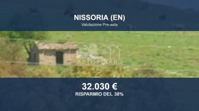 terreno agricolo in vendita a Nissoria