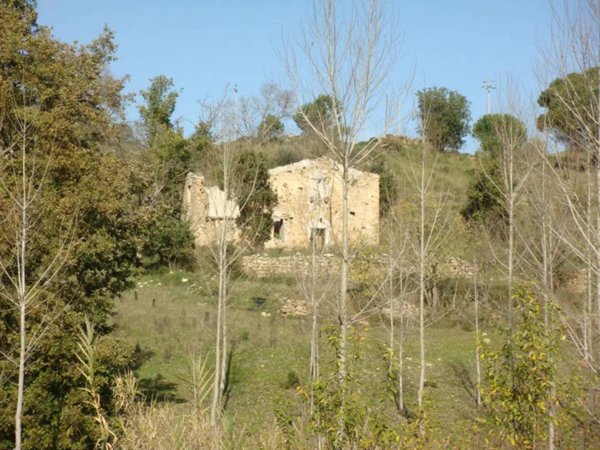 terreno agricolo in vendita a Piazza Armerina