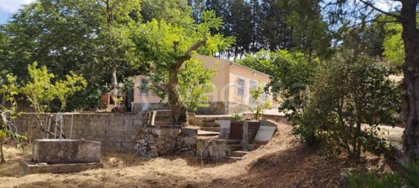 casa indipendente in vendita a Piazza Armerina