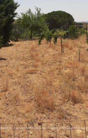 terreno agricolo in vendita a Piazza Armerina