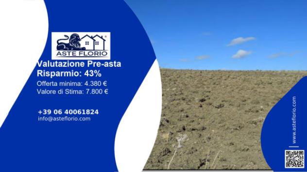 terreno agricolo in vendita a Piazza Armerina