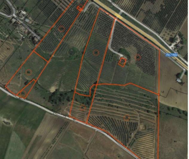 terreno agricolo in vendita a Piazza Armerina