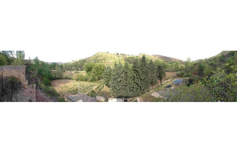 terreno agricolo in vendita a Piazza Armerina