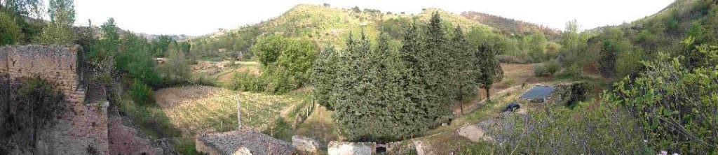 terreno agricolo in vendita a Piazza Armerina