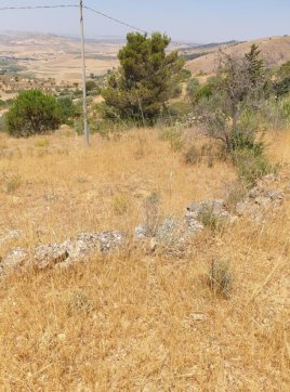 terreno agricolo in vendita a Piazza Armerina