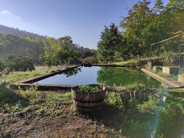 casa indipendente in vendita a Piazza Armerina