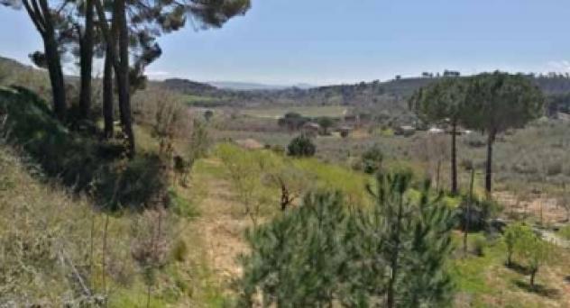 rudere in vendita a Piazza Armerina