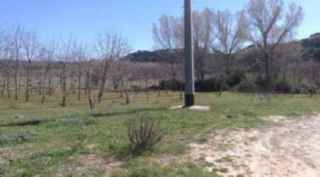 terreno agricolo in vendita a Piazza Armerina