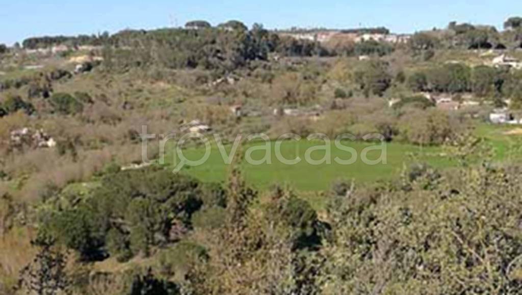 terreno agricolo in vendita a Piazza Armerina