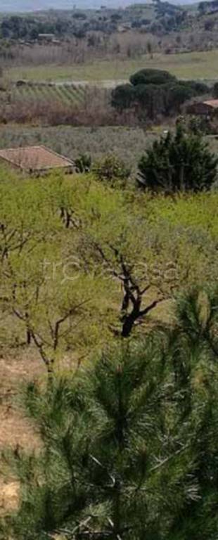 terreno agricolo in vendita a Piazza Armerina