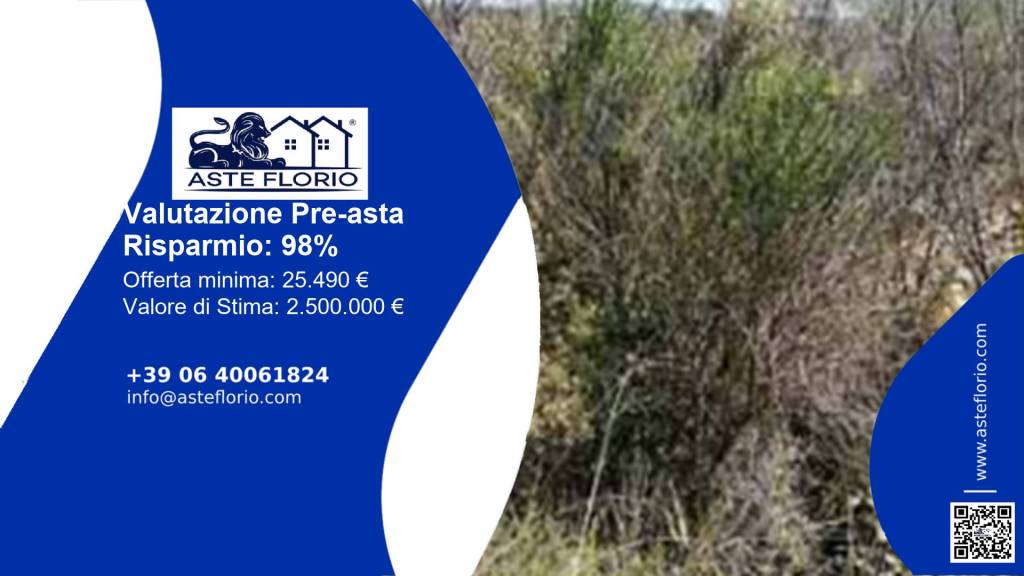 immagine annuncio 0 di 10