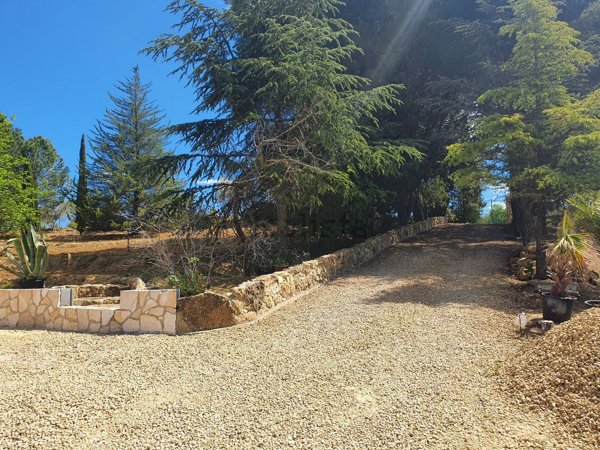 esavano in vendita a Piazza Armerina