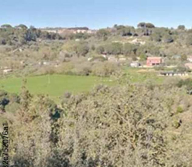 terreno agricolo in vendita a Piazza Armerina