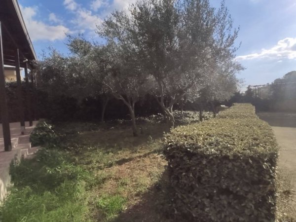 casa indipendente in vendita a Piazza Armerina