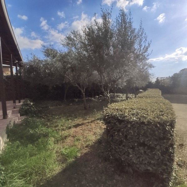 appartamento in vendita a Piazza Armerina