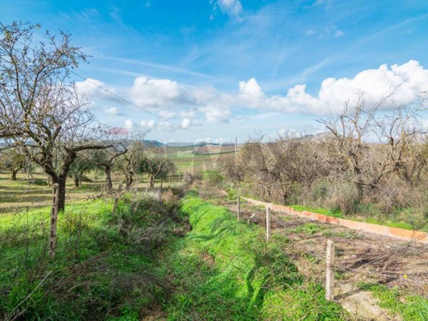 terreno agricolo in vendita a Piazza Armerina