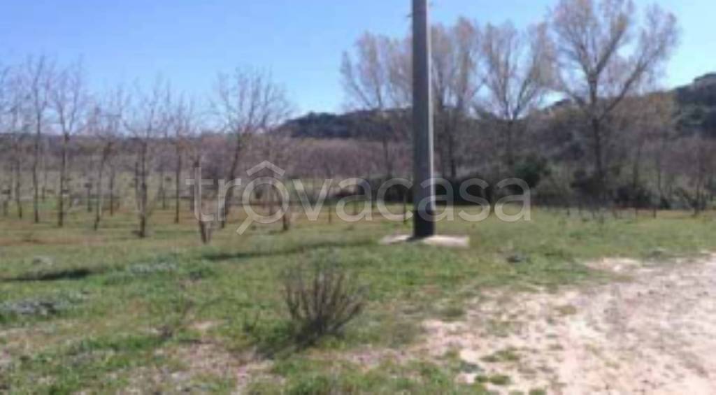 terreno agricolo in vendita a Piazza Armerina