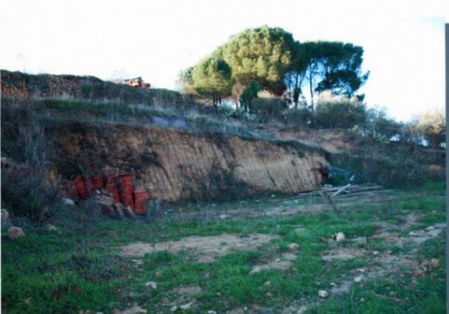 negozio in vendita a Piazza Armerina