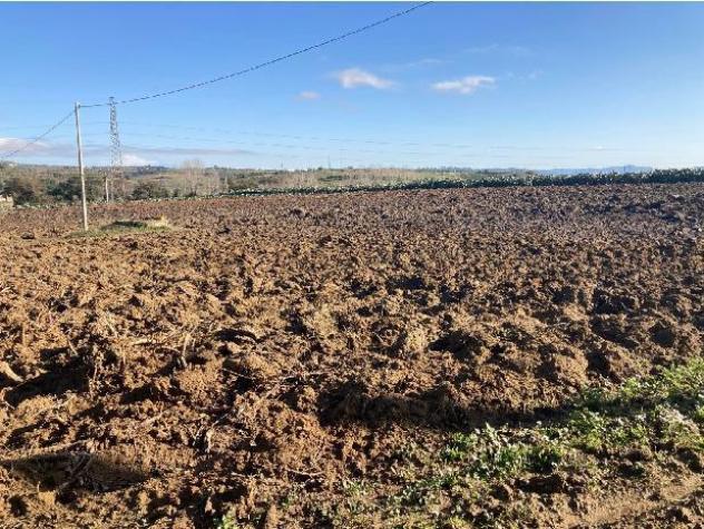 terreno agricolo in vendita a Piazza Armerina