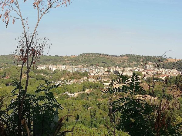 terreno agricolo in vendita a Piazza Armerina