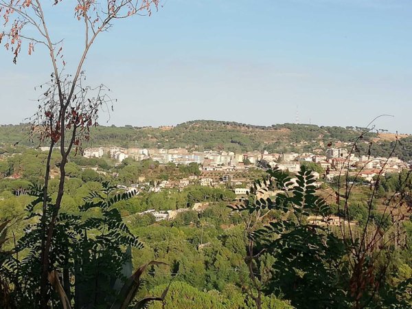 terreno agricolo in vendita a Piazza Armerina