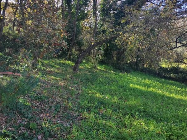 casa indipendente in vendita a Piazza Armerina in zona Santa Croce