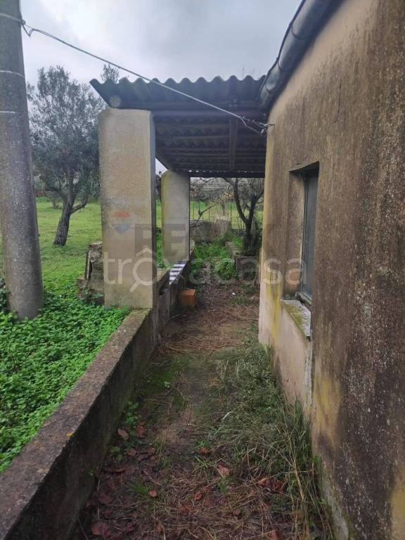 casa indipendente in vendita a Piazza Armerina