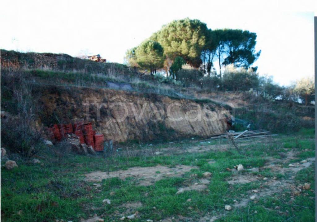 negozio in vendita a Piazza Armerina