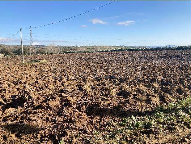 appartamento in vendita a Piazza Armerina