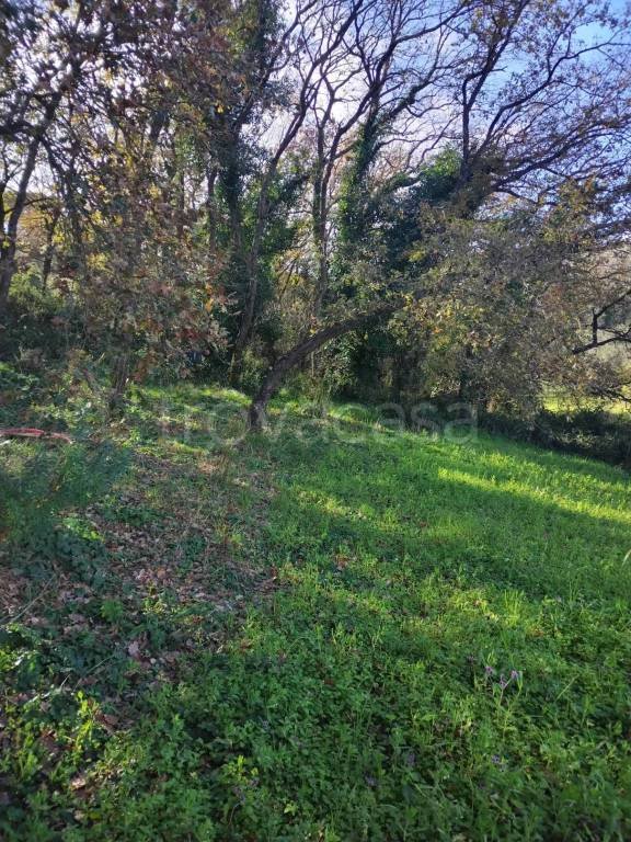 casa indipendente in vendita a Piazza Armerina in zona Santa Croce