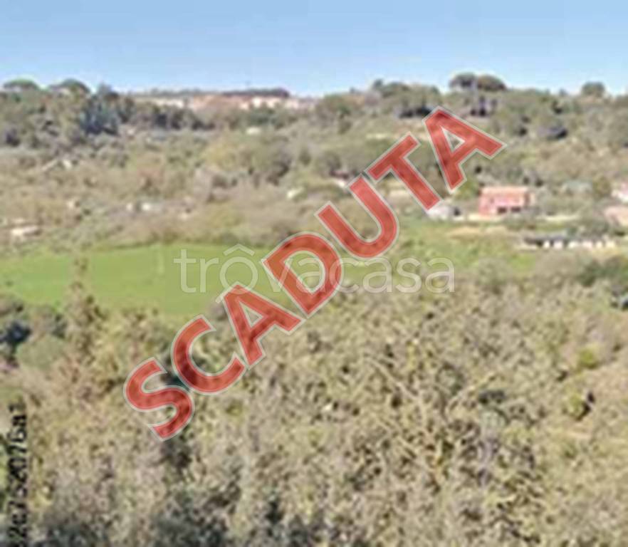 terreno agricolo in vendita a Piazza Armerina