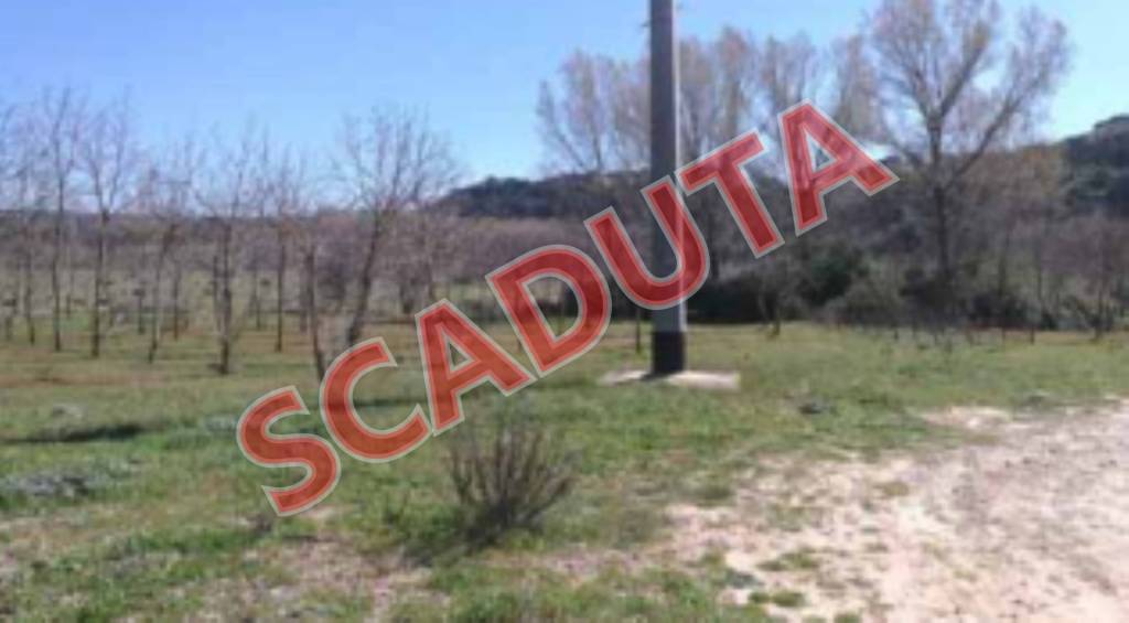 terreno agricolo in vendita a Piazza Armerina