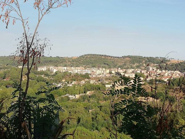 terreno agricolo in vendita a Piazza Armerina