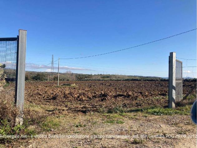 terreno agricolo in vendita a Piazza Armerina