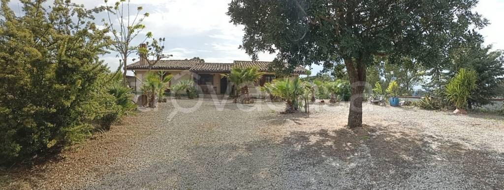 casa indipendente in vendita a Piazza Armerina