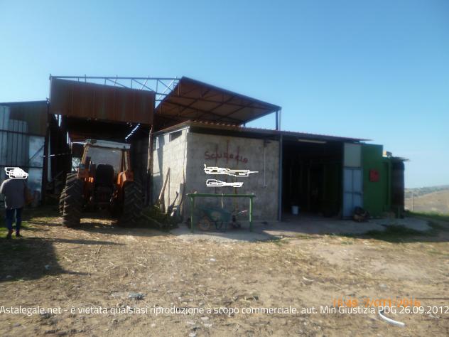 terreno agricolo in vendita a Piazza Armerina