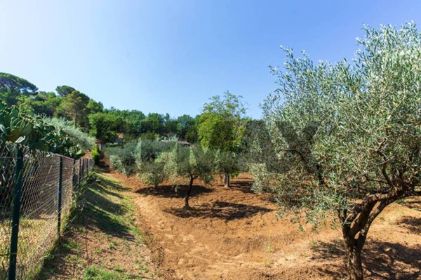 casa indipendente in vendita a Piazza Armerina